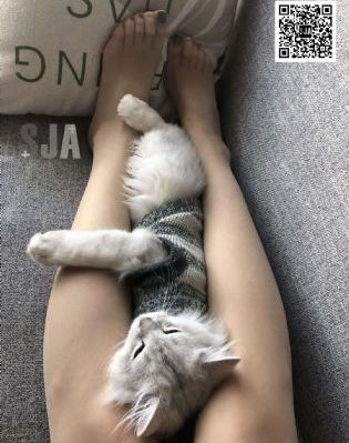 日韩美女软件_免费正片国语
