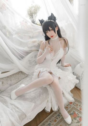 日本一区高清视频在线观看_免费观看